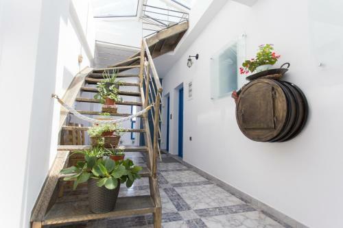 Apartamento Ocean View Rooms
