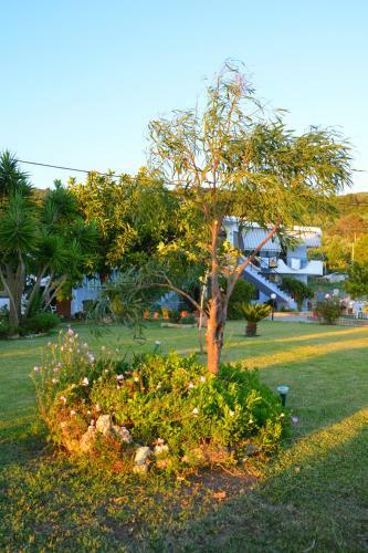 Hotel Raptis Apartments