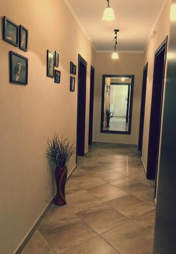 Hostal Guesthouse Alkioni