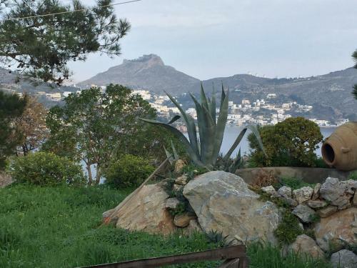 Apartamento Castle Vigla