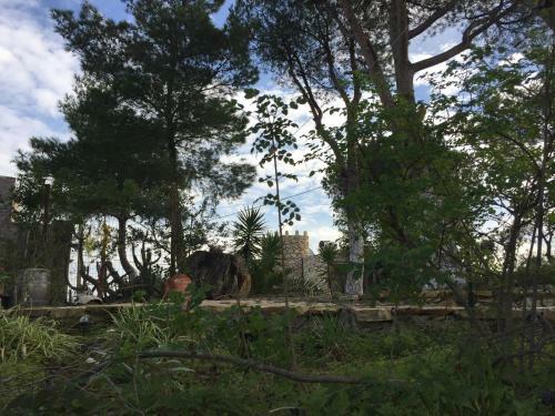 Apartamento Castle Vigla