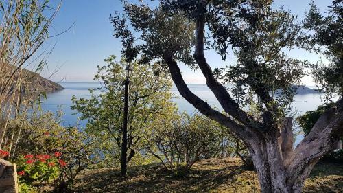 Apartamento Castle Vigla