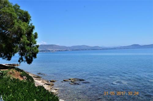 Poseidonas Apartments