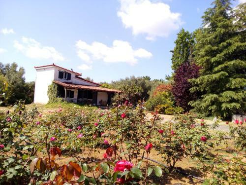 Agroturismo Beautiful Cottage With A Rose Garden