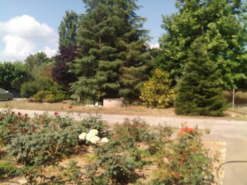 Agroturismo Beautiful Cottage With A Rose Garden