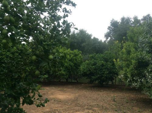 Agroturismo Beautiful Cottage With A Rose Garden