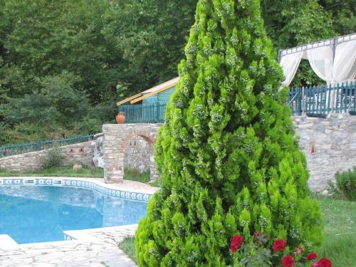 Hotel Dionysus Village Resort