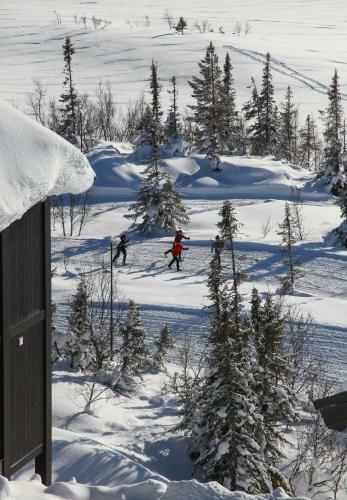 Apartamento Gaustatoppen Booking