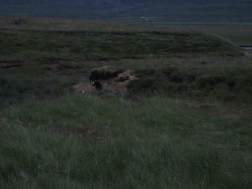 �sbrandsstadir Cottage