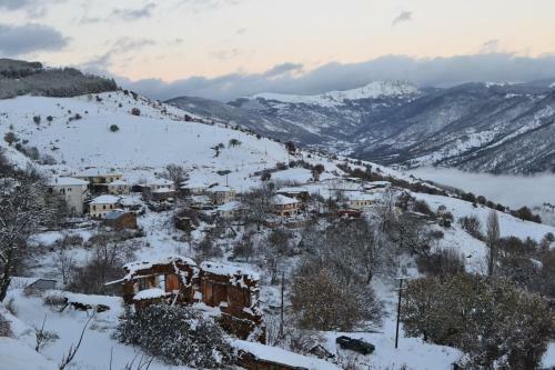 Hostal Petrino Pentolvio