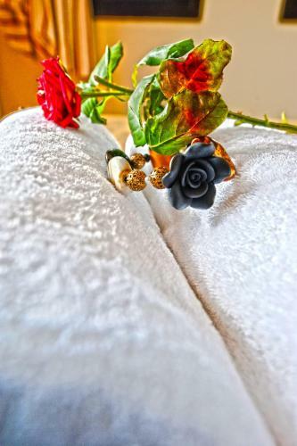 Hostal Petrino Pentolvio