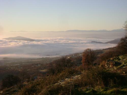 Hostal Petrino Pentolvio