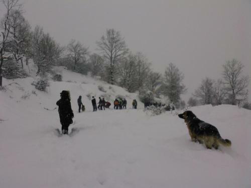 Hostal Petrino Pentolvio