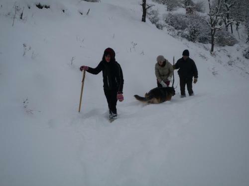 Hostal Petrino Pentolvio