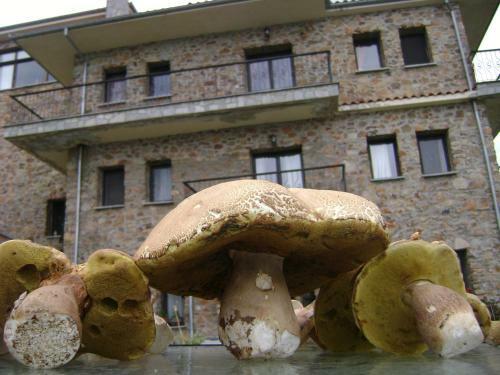 Hostal Petrino Pentolvio