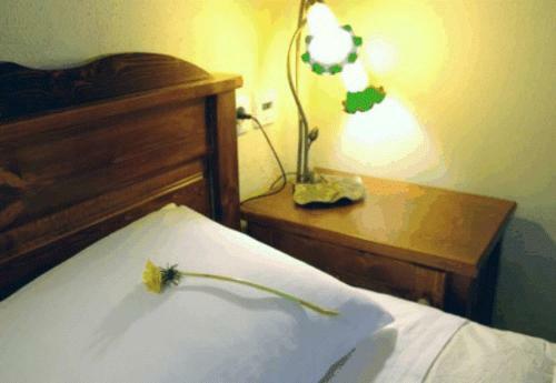 Hostal Nimbus Guesthouse