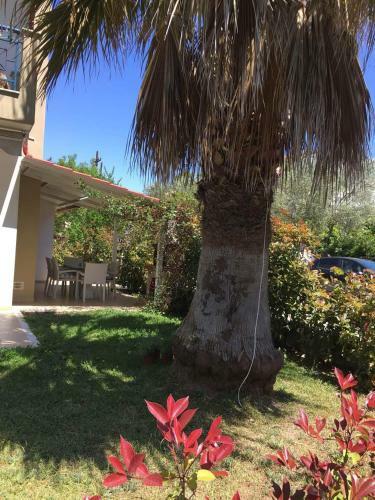 Summer House Skala Fourkas