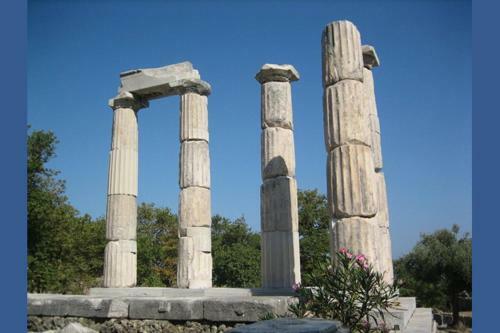 Vasilis House