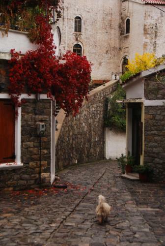 Apartamento Villa Aleka