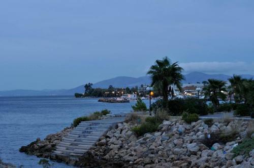 Orizontes Suites Xl