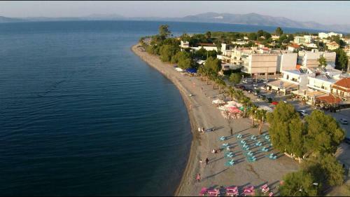 Orizontes Suites Xl