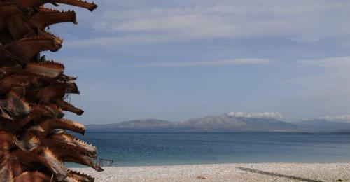 Orizontes Suites Xl