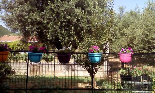 Hostal Chryspy Toulatos Studios
