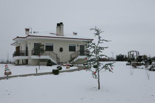 Mouses Apartments