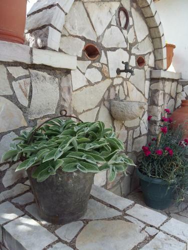 Apartamento The Green Home