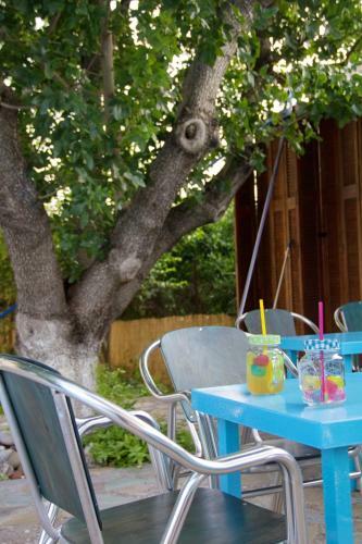 Hotel Vila Vivari