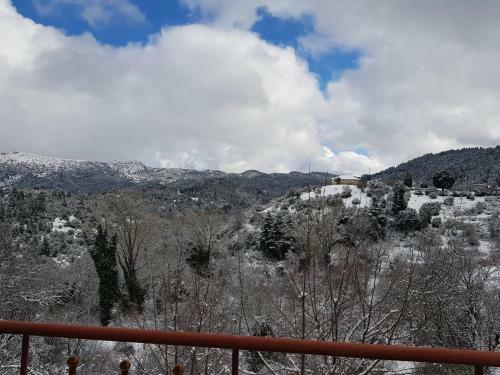 Petra & Elato Art Hotel