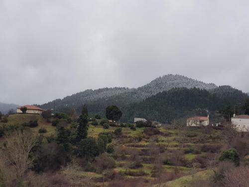 Petra & Elato Art Hotel