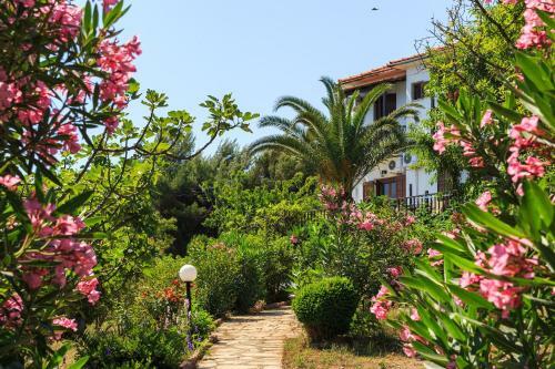 Apartamento Studios Avra