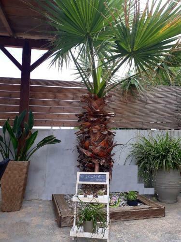 Almirikia Apartments & Rooms
