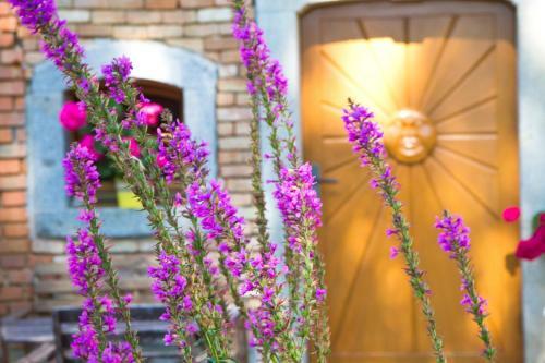 Apartamento Hoellerhof