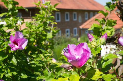 Apartamento Hoellerhof