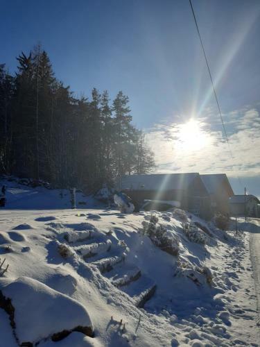Apartamento Ferienwohnung Bauer