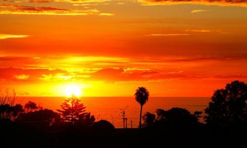 Palms On The Esplanade - Sellicks Beach - Wifi