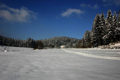 Lodge Jeleni Chata Skladanka