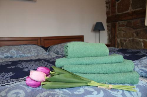 Hostal Penzion Modr� Sv?t