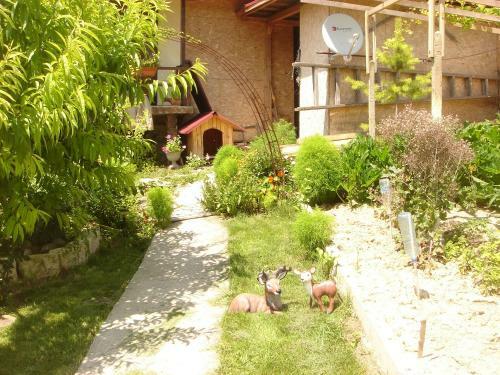 Hostal Guest House Petrova