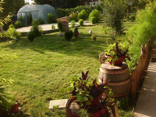 Hostal Guest House Petrova