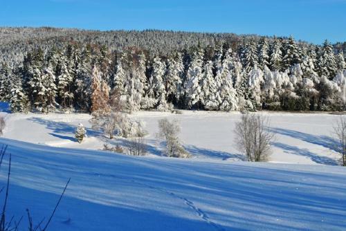 Apartamento Ferienwohnung Kappauf / Petrik