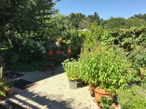 Apartamento G�stewohnung Bed And Breakfast Hering In Dill