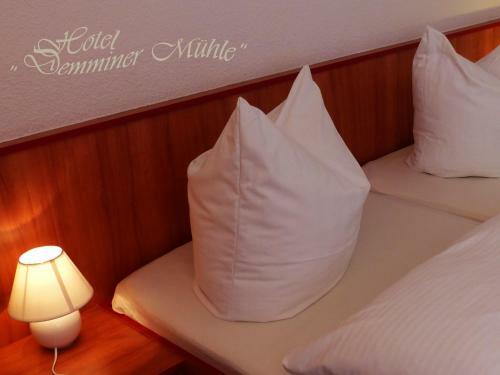 Hotel Demminer M�hle