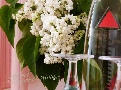 Hotel Demminer M�hle