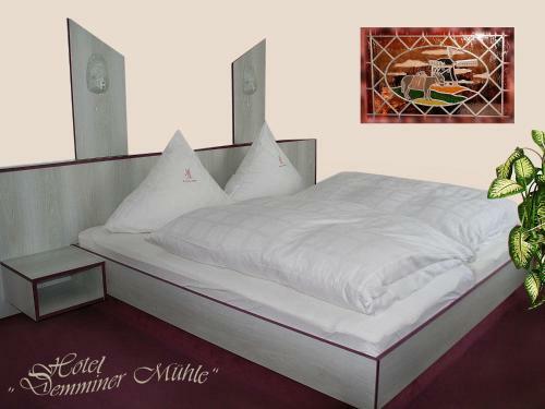Hotel Demminer M�hle