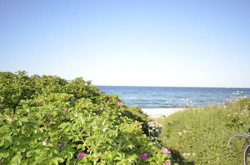 Strandgut Ferienhaus "lille Bo" ***** - [#94341]