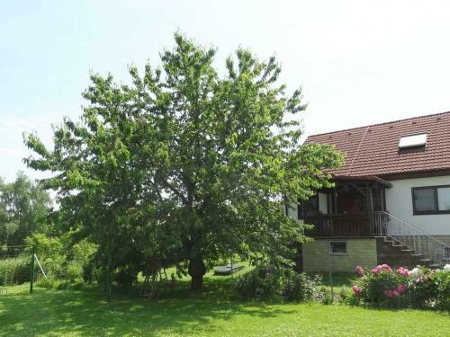 Apartamento Ferienwohnung Crussow Uck 1101