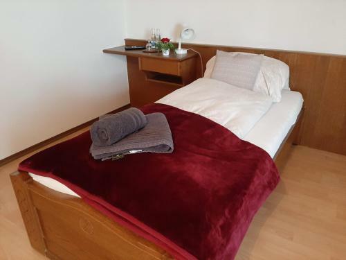 Hotel Dorfwirt Fridolfing